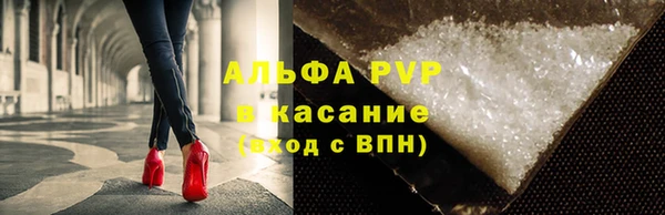 тгк Новозыбков