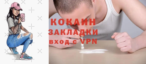 тгк Новозыбков
