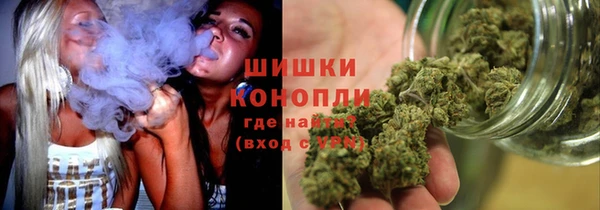 спайс Нягань