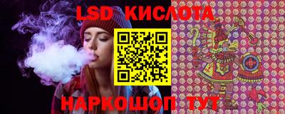 индика Волгодонск