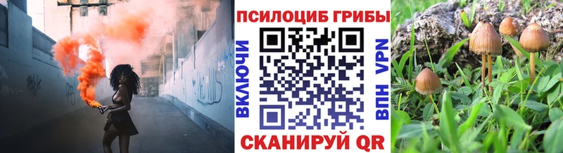 Псилоцибиновые грибы Cubensis  Нововоронеж 