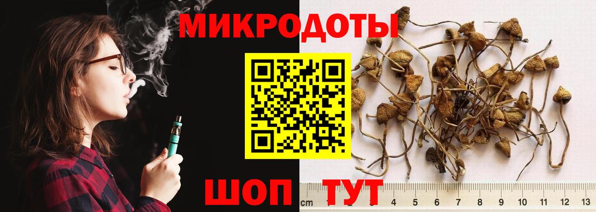 Псилоцибиновые грибы Cubensis Нововоронеж