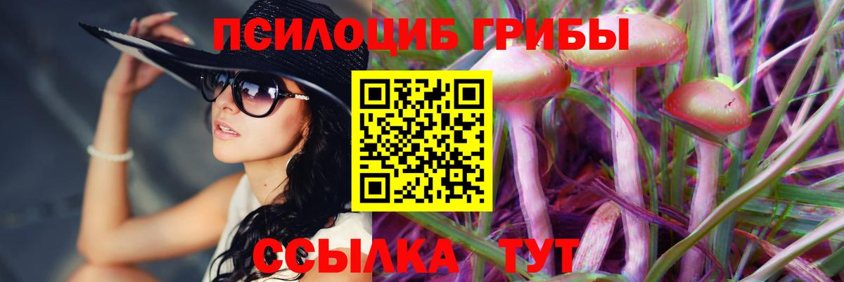Галлюциногенные грибы ЛСД Нововоронеж