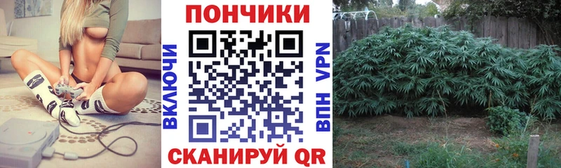 блэк спрут вход  Нововоронеж  Каннабис VHQ  цена  